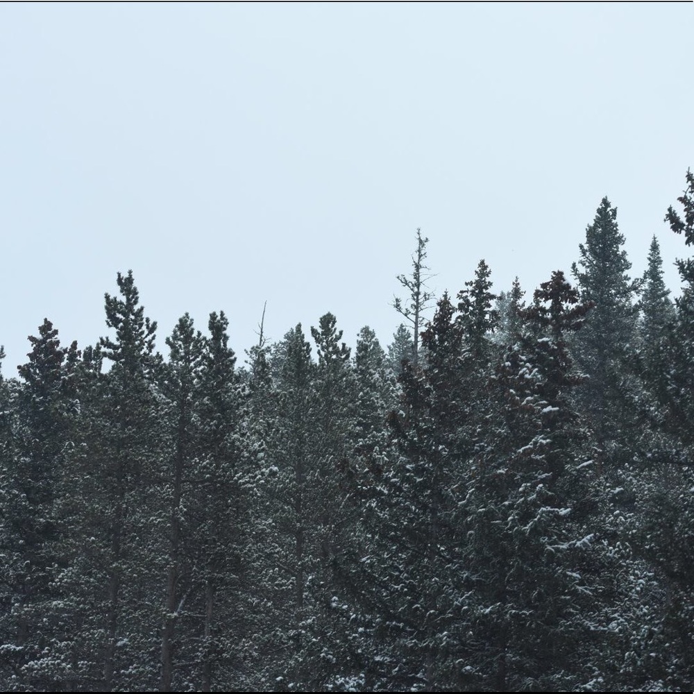 Meet your Posher, Kacey